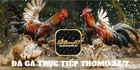 sabong67|trực tiếp thomo .